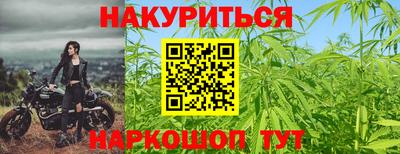 прущие грибы Шахты