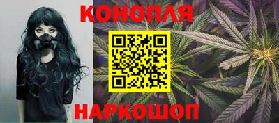 прущие грибы Шахты