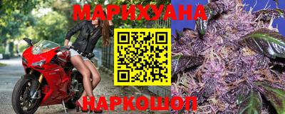 прущие грибы Шахты