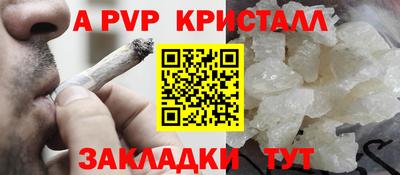 прущие грибы Шахты