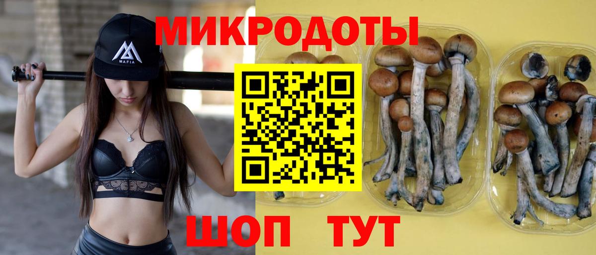 Псилоцибиновые грибы прущие грибы Гагарин