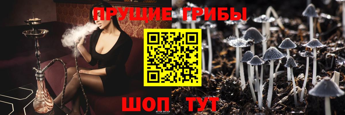 Псилоцибиновые грибы MAGIC MUSHROOMS  Вход с VPN  Гагарин 